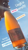 Pintom Pet Nat de Pinot Noir 2022