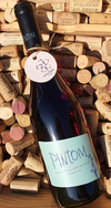 Pintom Pinot Noir del Frio 2020