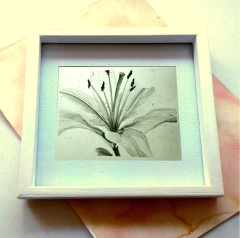 Deco Pequeño Formato - Floral - Acuarela 005