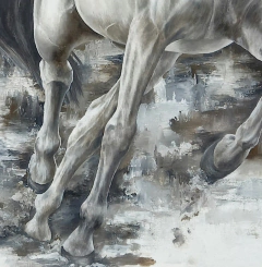 Apropiación obra “Paso de sombra” de Nicole Smith en internet