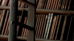 Banner de la categoría Ramas del Derecho