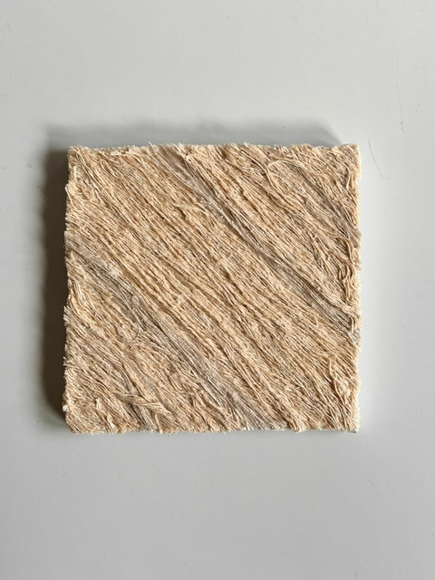 Tela Torres del Paine 15x15 A