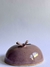 Vaso essência Lilás na internet