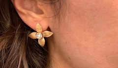 Banner de la categoría AROS Y PIERCINGS