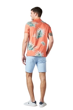 CHOMBA CAMERON M/C OXFORD POLO CLUB (9364) - Bugato shops
