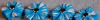 Banner Luciana Manfredi Disenios