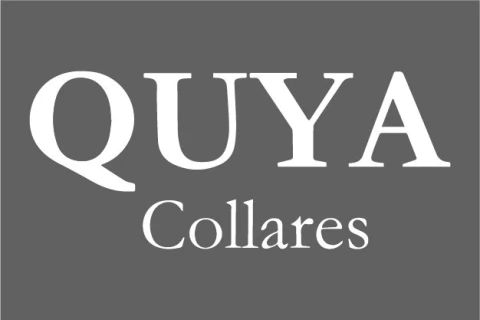 Marca 5 de DeZeta | Carteras, Accesorios e Indumentaria Femenina