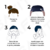 Set Pool Arena Gorro Silicona + Antiparra