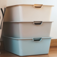 Contenedor Aiko Grande organizadora con tapa - comprar online