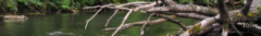 Banner de la categoría River