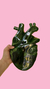CORAZÓN ANATOMICO SIXFI - outlet