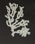 CORAL ESPECIAL - comprar online