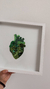 CORAZÓN VERDE - BARBARIDAD