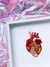 CORAZÓN NRR en internet