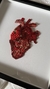 CUADRO CORAZÓN ROUGE - BARBARIDAD