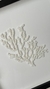 CORAL - A PEDIDO - comprar online