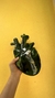 CORAZÓN ANATOMICO SIXFI - outlet - BARBARIDAD
