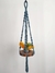 Suporte de planta azul