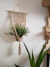 Plant hanger "Dani" - buy online