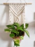 Porta planta de parede - buy online