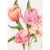 Acuarela "Tulipanes" 25 x 36 cm - SIN MARCO - en internet