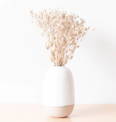 Ramo Foquitos - comprar online