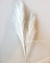 Pampa Grass - comprar online