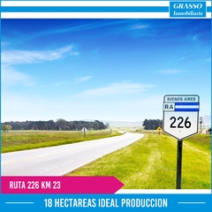 18 HECTAREAS SOBRE RUTA 226 KM 23