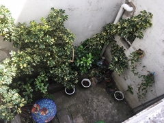 Imagen de CASA 4 AMBIENTES EN 2 PLANTAS - 14 DE JULIO Y RIVADAVIA MAR DEL PLATA - APTO CREDITO