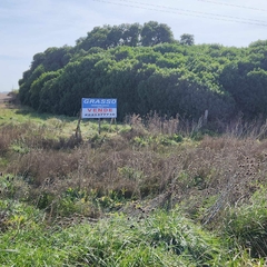 15.8 HECTAREAS RUTA 88 KM 45.5 - Grasso Inmobiliaria. Negocios inmobiliarios en la Ciudad de Mar del Plata