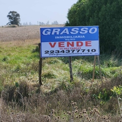 15.8 HECTAREAS RUTA 88 KM 45.5 - Grasso Inmobiliaria. Negocios inmobiliarios en la Ciudad de Mar del Plata
