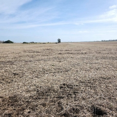 15.8 HECTAREAS RUTA 88 KM 45.5 - Grasso Inmobiliaria. Negocios inmobiliarios en la Ciudad de Mar del Plata