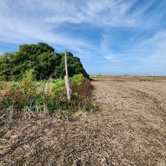 15.8 HECTAREAS RUTA 88 KM 45.5 - tienda online