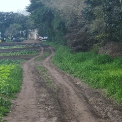 7.5 HECTAREAS - RUTA 226 KM 10 LAGUNA DE LOS PADRES MAR DEL PLATA en internet