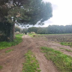 7.5 HECTAREAS - RUTA 226 KM 10 LAGUNA DE LOS PADRES MAR DEL PLATA - comprar online