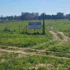 7 HECTAREAS SOBRE RUTA 226 - comprar online