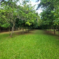 Casa con Cruce de Agua sobre 12.000m2 - Colina de los Padres Ruta 226 km 24 Mar del Plata - comprar online