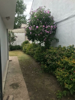 CASA AMERICANA - BELGICA 70 MAR DEL PLATA apto credito - Grasso Inmobiliaria. Negocios inmobiliarios en la Ciudad de Mar del Plata