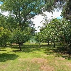 Imagen de CASA DE CAMPO SOBRE 10.500M2 - PADRE VARETTO 400 ACCESO A SIERRA DE LOS PADRES ZONA COMERCIAL