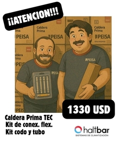 Caldera Peisa Prima Tec 24ds