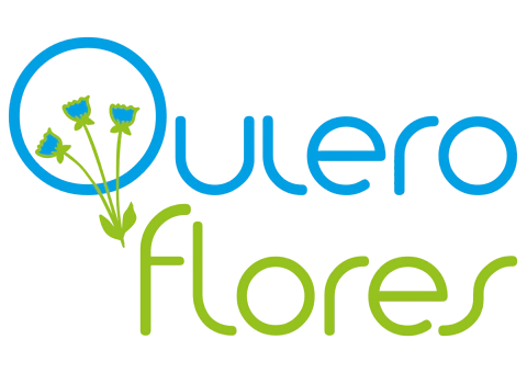 QuieroFlores
