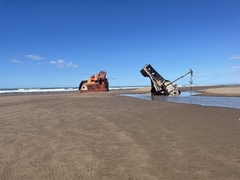 Portacosmeticos 2202