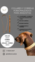 Collares y correas personalizados para mascotas