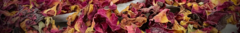 Banner de la categoría Spécialité