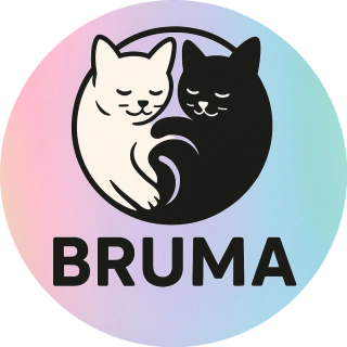 Bruma
