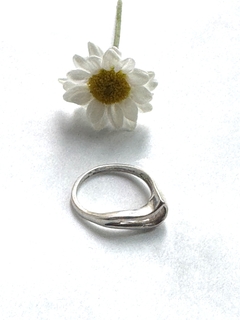 Anillo en internet