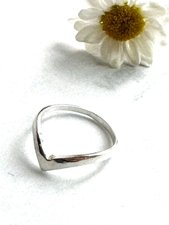 Anillo en internet