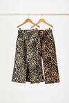 JEAN LEOPARDO