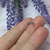 Piercing tragus delfin