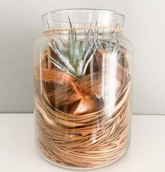 Suculenta Artificial en soporte de vidrio con madera de la India
